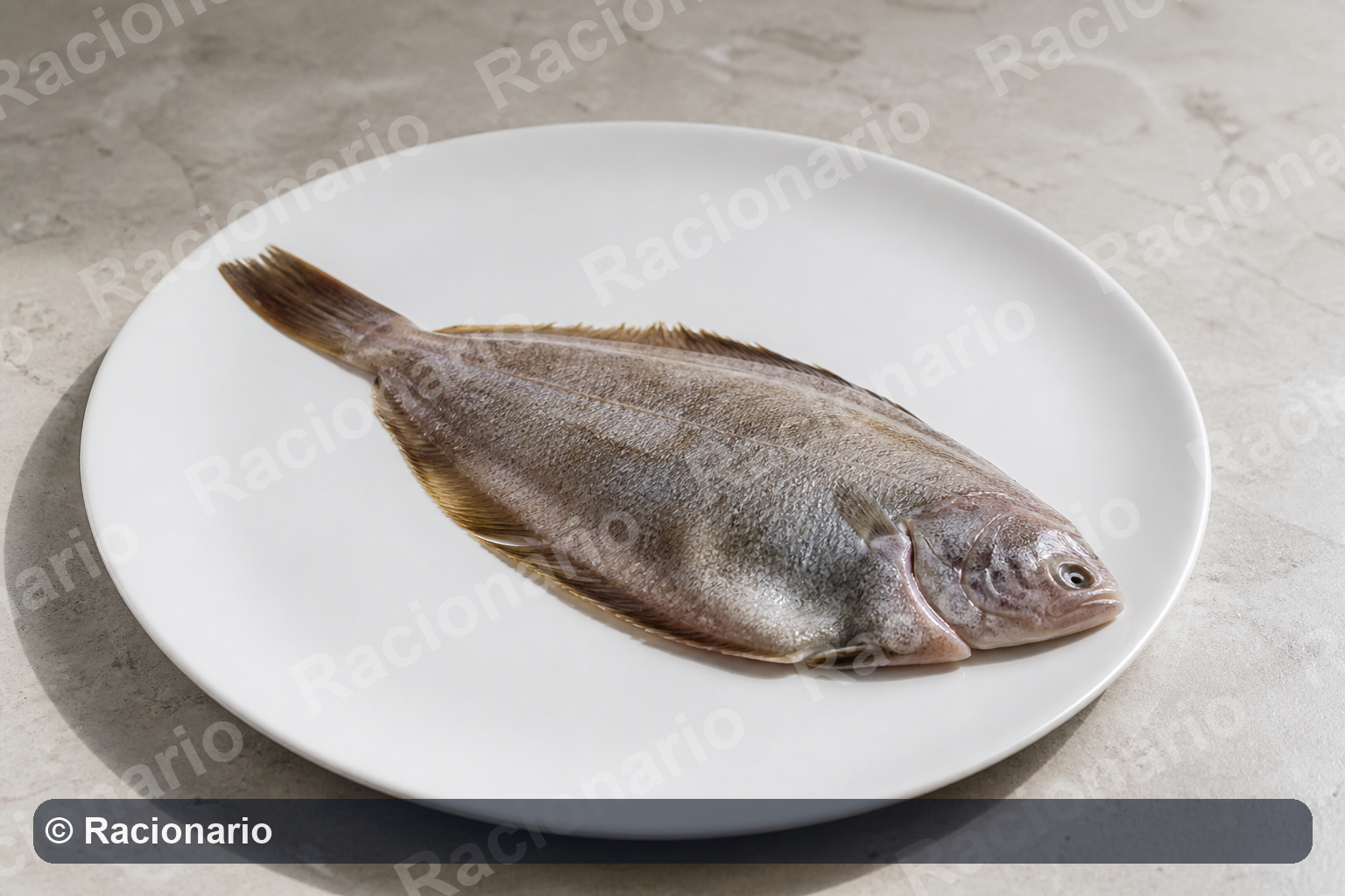 Ración de Gallo o bruja: Ración: unidad pequeña, 140 g