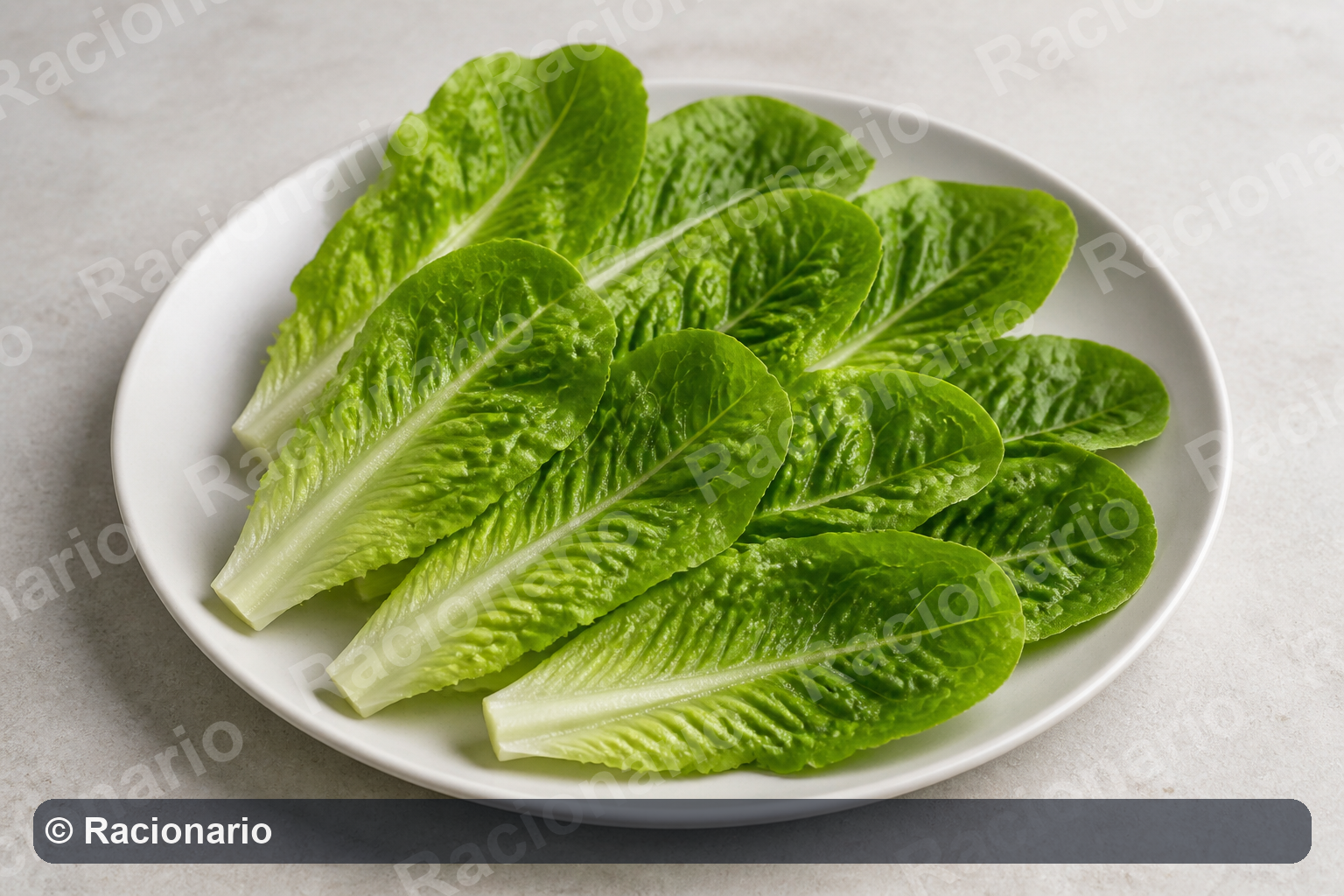 Ración de Lechuga: Ración: diez hojas, 200 g